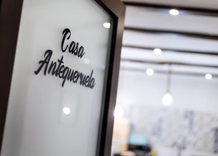 Casa Antequeruela Toledo